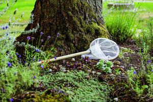 Butterfly Net