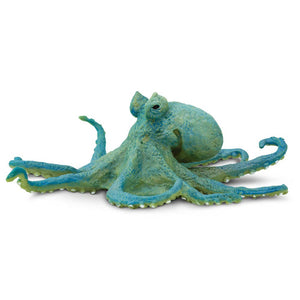 Octopus - 200929