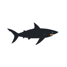 Load image into Gallery viewer, Dark Waters Shark Tattoo Pair