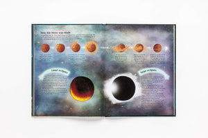 A Cat's Guide to the Night Sky