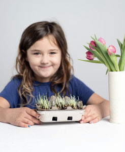 natural egg coloring kit