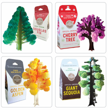 Load image into Gallery viewer, Crystal Growing Kit