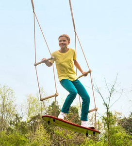 Air Rider Surf Swing