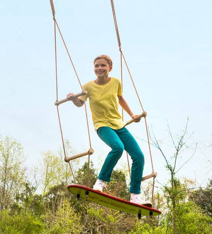 Air Rider Surf Swing