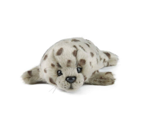Living Nature Common Seal Pup