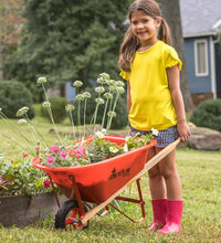 Load image into Gallery viewer, Wheelbarrow