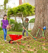 Load image into Gallery viewer, Wheelbarrow