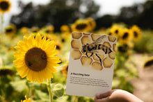 Load image into Gallery viewer, Infinite Kids in Nature Cards