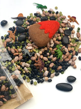Load image into Gallery viewer, Dinosaur Mini Sensory Bin Kit