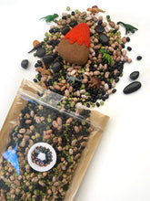 Load image into Gallery viewer, Dinosaur Mini Sensory Bin Kit