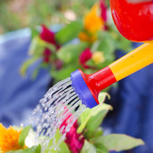 Load image into Gallery viewer, Watering Can (1 Liter)