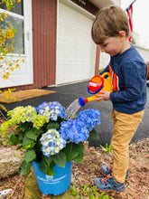 Load image into Gallery viewer, Watering Can (1 Liter)