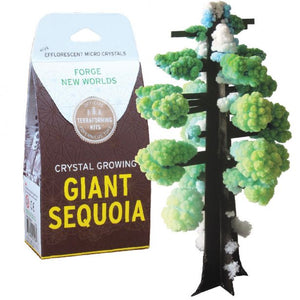 Crystal Growing Kit