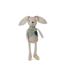 Load image into Gallery viewer, Luca Bunny - Organic Knit Bunny Pals