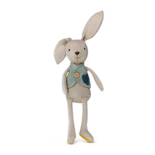 Load image into Gallery viewer, Luca Bunny - Organic Knit Bunny Pals