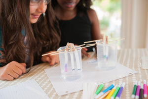 Paper Chromatography Kit: The Art & Science of Color